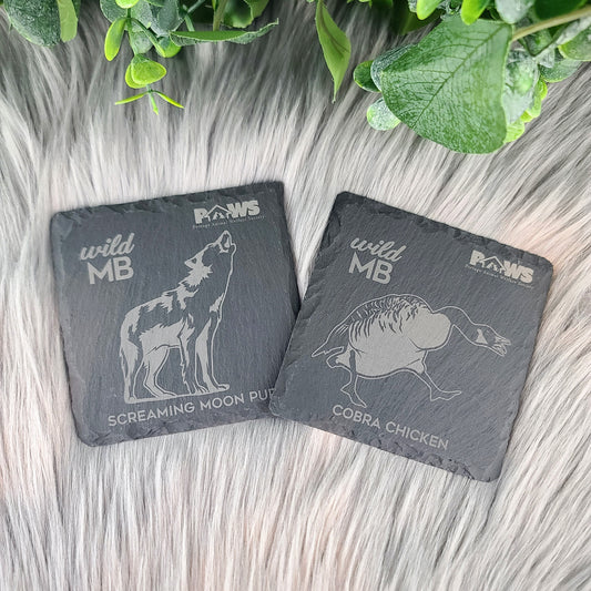 PAWS Wild MB Coasters - Natural Slate