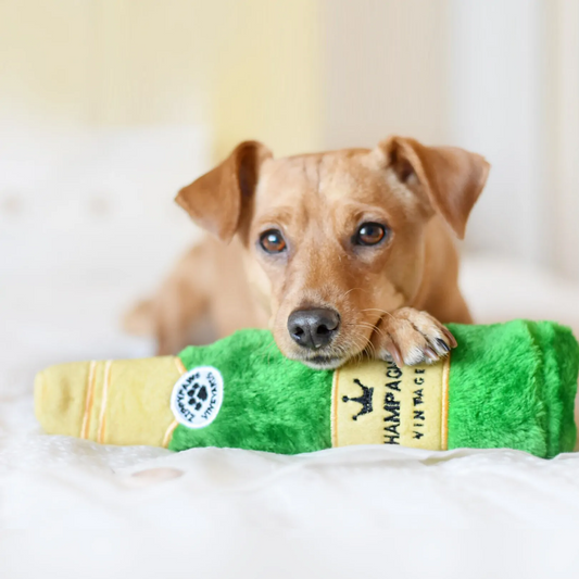 Happy Hour Crusherz Dog Toys - Champagne